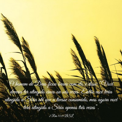 Picture 03 - 2 Reis 13:19 BSL - O homem de Deus ficou bravo com ele, e disse: - Bible Verse Picture