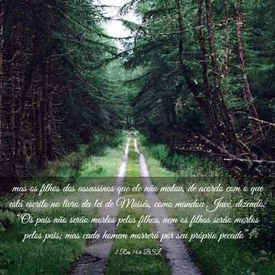 Picture 03 - 2 Reis 14:6 BSL - mas os filhos dos assassinos que ele não matou, - Bible Verse Picture
