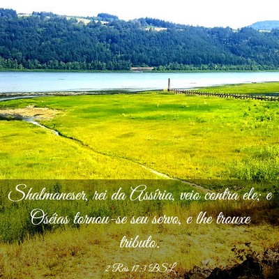 Picture 03 - 2 Reis 17:3 BSL - Shalmaneser, rei da Assíria, veio contra ele; e - Bible Verse Picture
