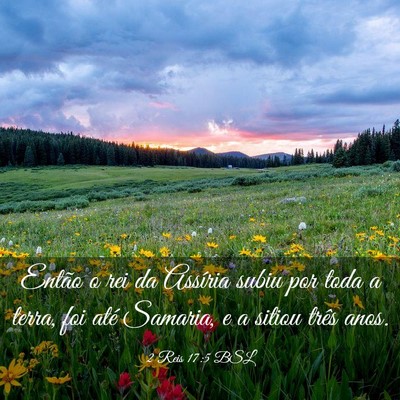 Picture 03 - 2 Reis 17:5 BSL - Então o rei da Assíria subiu por toda a terra, - Bible Verse Picture