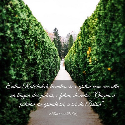Picture 03 - 2 Reis 18:28 BSL - Então Rabshakeh levantou-se e gritou com voz - Bible Verse Picture