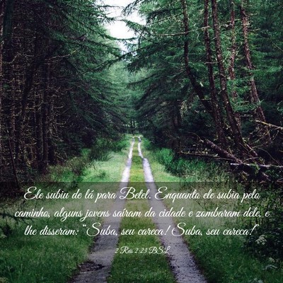 Picture 03 - 2 Reis 2:23 BSL - Ele subiu de lá para Betel. Enquanto ele subia - Bible Verse Picture