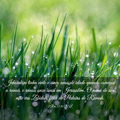 Picture 03 - 2 Reis 23:36 BSL - Jehoiakim tinha vinte e cinco anos de idade - Bible Verse Picture