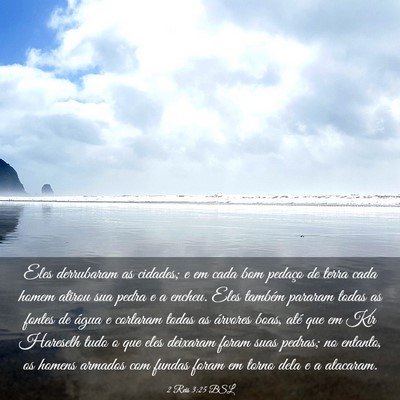 Picture 03 - 2 Reis 3:25 BSL - Eles derrubaram as cidades; e em cada bom pedaço - Bible Verse Picture