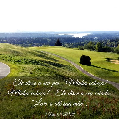 Picture 03 - 2 Reis 4:19 BSL - Ele disse a seu pai: “Minha cabeça! Minha - Bible Verse Picture