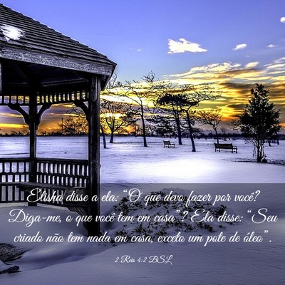 Picture 03 - 2 Reis 4:2 BSL - Elisha disse a ela: “O que devo fazer por - Bible Verse Picture
