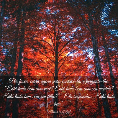 Picture 03 - 2 Reis 4:26 BSL - Por favor, corra agora para conhecê-la, e - Bible Verse Picture