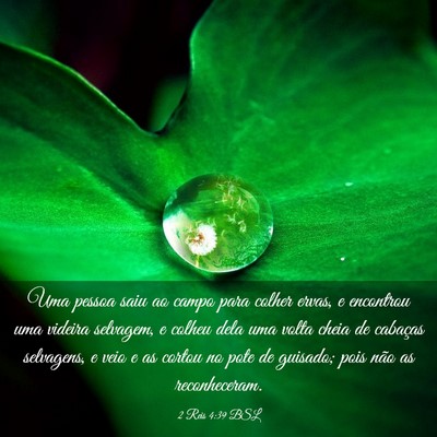 Picture 03 - 2 Reis 4:39 BSL - Uma pessoa saiu ao campo para colher ervas, e - Bible Verse Picture