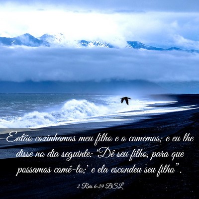 Picture 03 - 2 Reis 6:29 BSL - Então cozinhamos meu filho e o comemos; e eu lhe - Bible Verse Picture