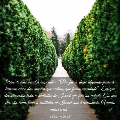 Picture 03 - 2 Reis 7:13 BSL - Um de seus criados respondeu: “Por favor, deixe - Bible Verse Picture
