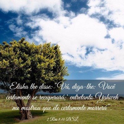 Picture 03 - 2 Reis 8:10 BSL - Elisha lhe disse: “Vá, diga-lhe: 'Você - Bible Verse Picture