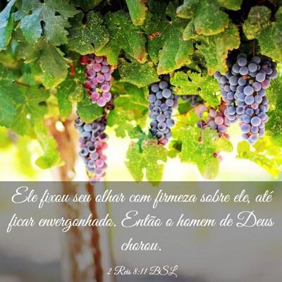 Picture 03 - 2 Reis 8:11 BSL - Ele fixou seu olhar com firmeza sobre ele, até - Bible Verse Picture