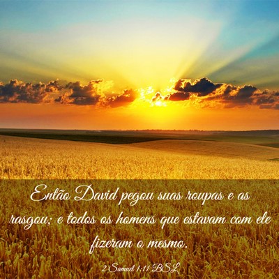 Picture 03 - 2 Samuel 1:11 BSL - Então David pegou suas roupas e as rasgou; e - Bible Verse Picture