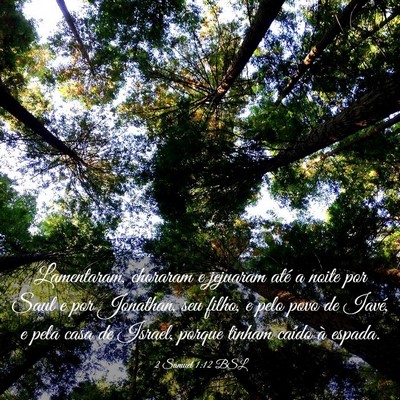 Picture 03 - 2 Samuel 1:12 BSL - Lamentaram, choraram e jejuaram até a noite por - Bible Verse Picture