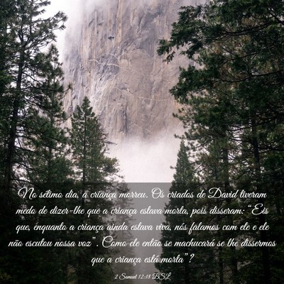 Picture 03 - 2 Samuel 12:18 BSL - No sétimo dia, a criança morreu. Os criados de - Bible Verse Picture