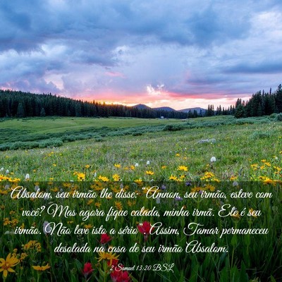 Picture 03 - 2 Samuel 13:20 BSL - Absalom, seu irmão lhe disse: “Amnon, seu - Bible Verse Picture