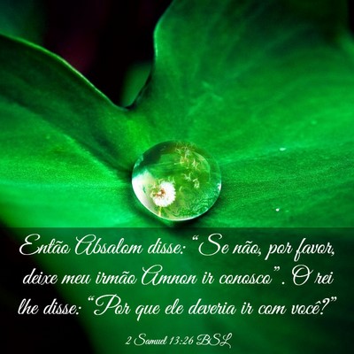 Picture 03 - 2 Samuel 13:26 BSL - Então Absalom disse: “Se não, por favor, - Bible Verse Picture