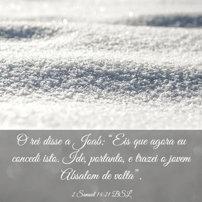 Picture 03 - 2 Samuel 14:21 BSL - O rei disse a Joab: “Eis que agora eu concedi - Bible Verse Picture