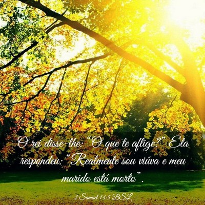 Picture 03 - 2 Samuel 14:5 BSL - O rei disse-lhe: “O que te aflige?” Ela - Bible Verse Picture
