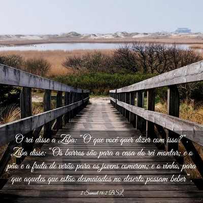 Picture 03 - 2 Samuel 16:2 BSL - O rei disse a Ziba: “O que você quer dizer com - Bible Verse Picture
