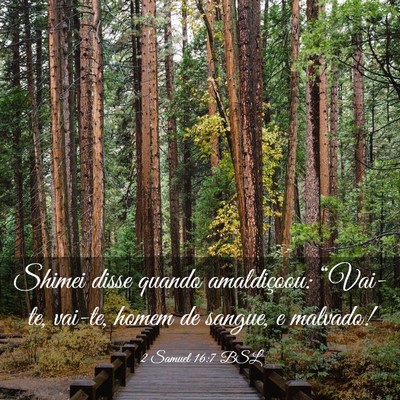 Picture 03 - 2 Samuel 16:7 BSL - Shimei disse quando amaldiçoou: “Vai-te, - Bible Verse Picture