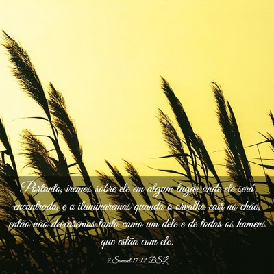 Picture 03 - 2 Samuel 17:12 BSL - Portanto, iremos sobre ele em algum lugar onde - Bible Verse Picture