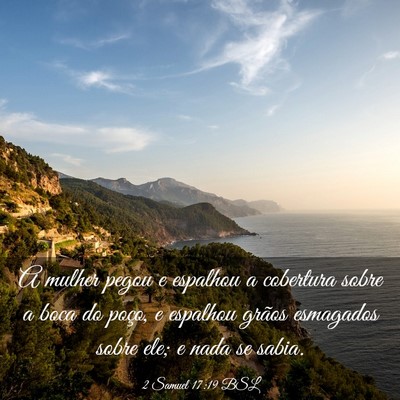 Picture 03 - 2 Samuel 17:19 BSL - A mulher pegou e espalhou a cobertura sobre a - Bible Verse Picture