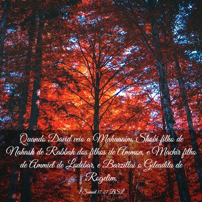 Picture 03 - 2 Samuel 17:27 BSL - Quando David veio a Mahanaim, Shobi filho de - Bible Verse Picture