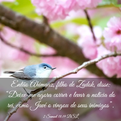 Picture 03 - 2 Samuel 18:19 BSL - Então Ahimaaz, filho de Zadok, disse: - Bible Verse Picture