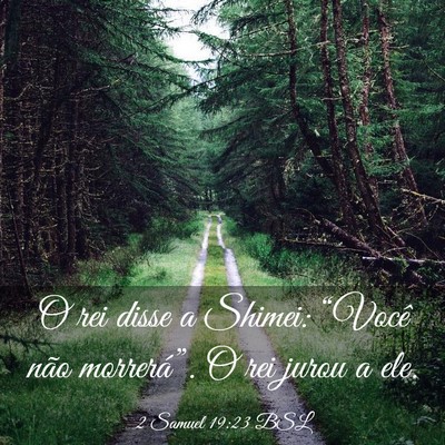 Picture 03 - 2 Samuel 19:23 BSL - O rei disse a Shimei: “Você não morrerá”. - Bible Verse Picture