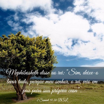 Picture 03 - 2 Samuel 19:30 BSL - Mephibosheth disse ao rei: “Sim, deixe-o levar - Bible Verse Picture