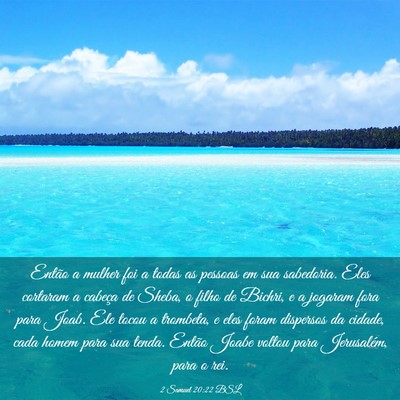 Picture 03 - 2 Samuel 20:22 BSL - Então a mulher foi a todas as pessoas em sua - Bible Verse Picture