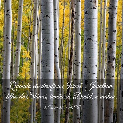 Picture 03 - 2 Samuel 21:21 BSL - Quando ele desafiou Israel, Jonathan, filho de - Bible Verse Picture