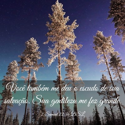 Picture 03 - 2 Samuel 22:36 BSL - Você também me deu o escudo de sua salvação. - Bible Verse Picture