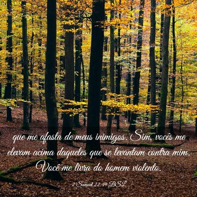 Picture 03 - 2 Samuel 22:49 BSL - que me afasta de meus inimigos. Sim, vocês me - Bible Verse Picture