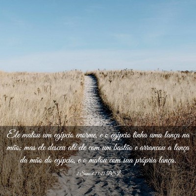 Picture 03 - 2 Samuel 23:21 BSL - Ele matou um egípcio enorme, e o egípcio tinha - Bible Verse Picture