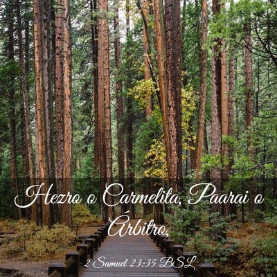Picture 03 - 2 Samuel 23:35 BSL - Hezro o Carmelita, Paarai o - Bible Verse Picture