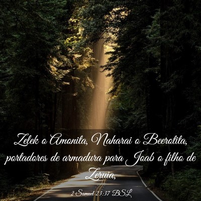 Picture 03 - 2 Samuel 23:37 BSL - Zelek o Amonita, Naharai o Beerotita, portadores - Bible Verse Picture