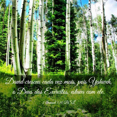 Picture 03 - 2 Samuel 5:10 BSL - David cresceu cada vez mais, pois Yahweh, o Deus - Bible Verse Picture