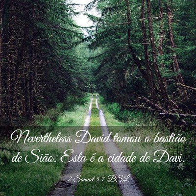 Picture 03 - 2 Samuel 5:7 BSL - Nevertheless David tomou o bastião de Sião. - Bible Verse Picture