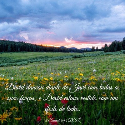 Picture 03 - 2 Samuel 6:14 BSL - David dançou diante de Javé com todas as suas - Bible Verse Picture
