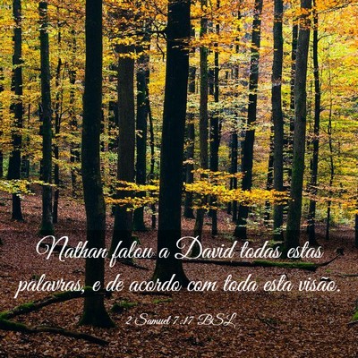 Picture 03 - 2 Samuel 7:17 BSL - Nathan falou a David todas estas palavras, e de - Bible Verse Picture