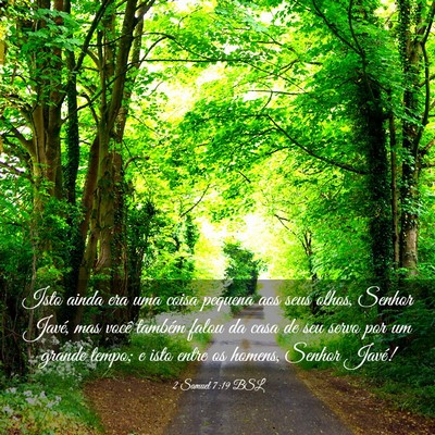 Picture 03 - 2 Samuel 7:19 BSL - Isto ainda era uma coisa pequena aos seus olhos, - Bible Verse Picture