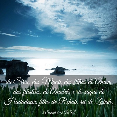 Picture 03 - 2 Samuel 8:12 BSL - da Síria, dos Moab, dos filhos de Amon, dos - Bible Verse Picture