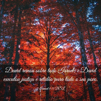 Picture 03 - 2 Samuel 8:15 BSL - David reinou sobre todo Israel; e David executou - Bible Verse Picture