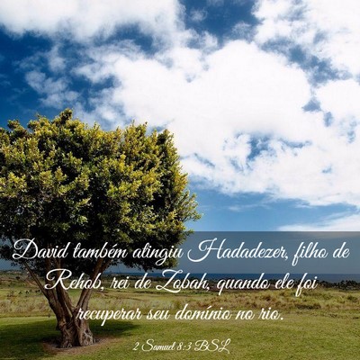 Picture 03 - 2 Samuel 8:3 BSL - David também atingiu Hadadezer, filho de Rehob, - Bible Verse Picture