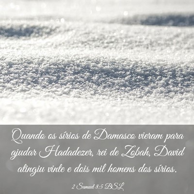 Picture 03 - 2 Samuel 8:5 BSL - Quando os sírios de Damasco vieram para ajudar - Bible Verse Picture