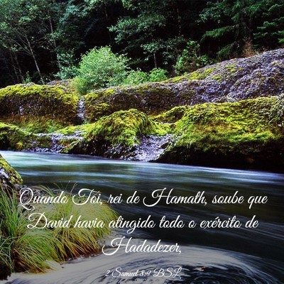 Picture 03 - 2 Samuel 8:9 BSL - Quando Toi, rei de Hamath, soube que David havia - Bible Verse Picture