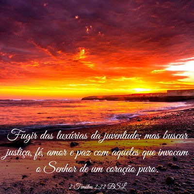 Picture 03 - 2 Timóteo 2:22 BSL - Fugir das luxúrias da juventude; mas buscar - Bible Verse Picture