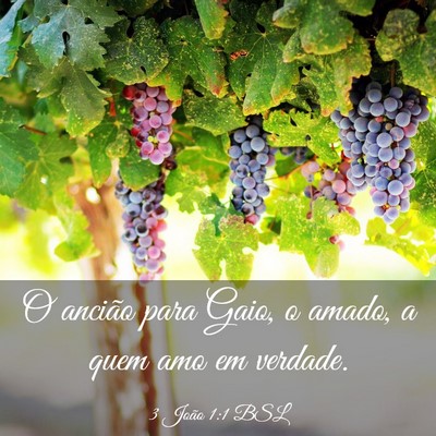 Picture 03 - 3 João 1:1 BSL - O ancião para Gaio, o amado, a quem amo em - Bible Verse Picture